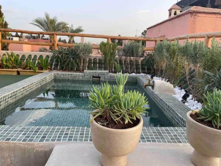 Riad Ptit Kech, Bassin Terrasse - Petits Dejeuners Marrakesh Extérieur photo